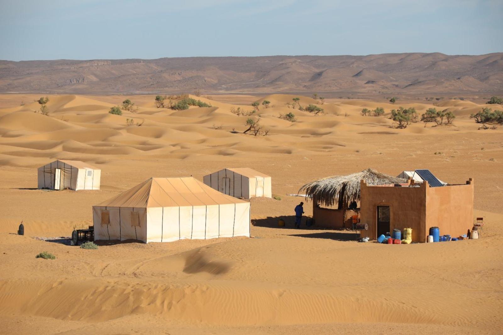 Hotel Majorelle Desert Camp à Zagora Extérieur photo